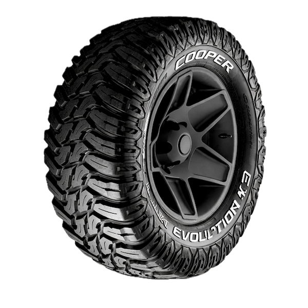 Cooper Evolution MTT Por